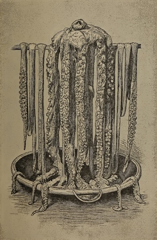 Калейдоскоп страхов средневекового моряка Калейдоскоп страхов средневекового моряка
