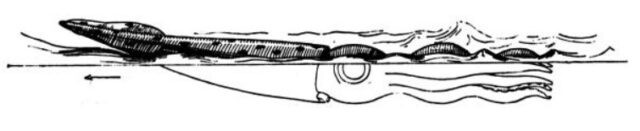 Калейдоскоп страхов средневекового моряка Калейдоскоп страхов средневекового моряка