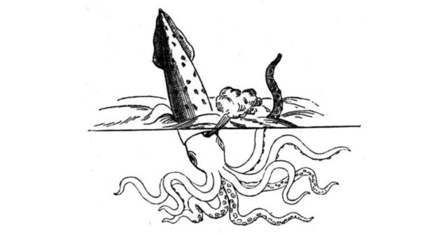 Калейдоскоп страхов средневекового моряка Калейдоскоп страхов средневекового моряка