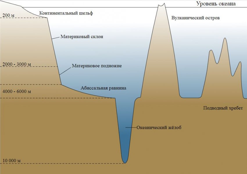 ТОП-5 Фактов о глубоководной части океана