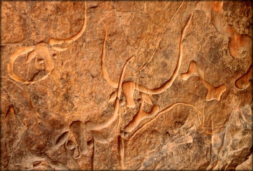 Самые древние наскальные рисунки Сахары
