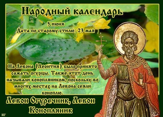 Что можно и нельзя делать в праздник Левона Огуречника или Конопляника 5 июня