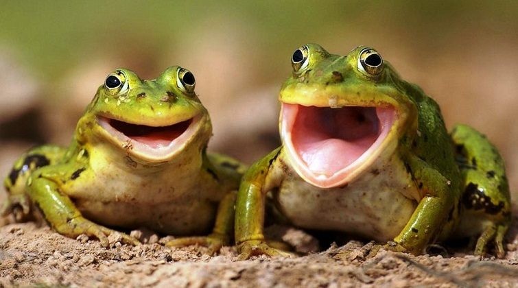 Запреты на праздник Федота Стража 20 июня предостерегают о возможных трудностях в жизни