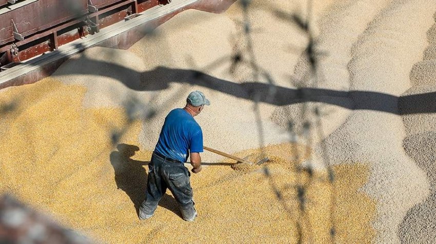 Свежая информация о спецоперации России на Украине на сегодня, 09.06.2022: последние новости