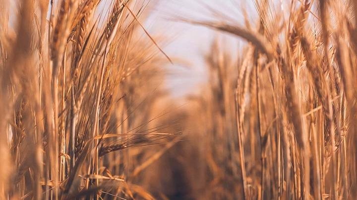 Новые данные о военной спецоперации РФ на Украине сегодня, 28.07.2022: последние новости