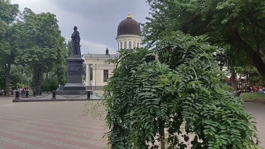 Последние новости Одессы и Николаева на сегодня, 29 июля 2022 года: обзор свежих событий