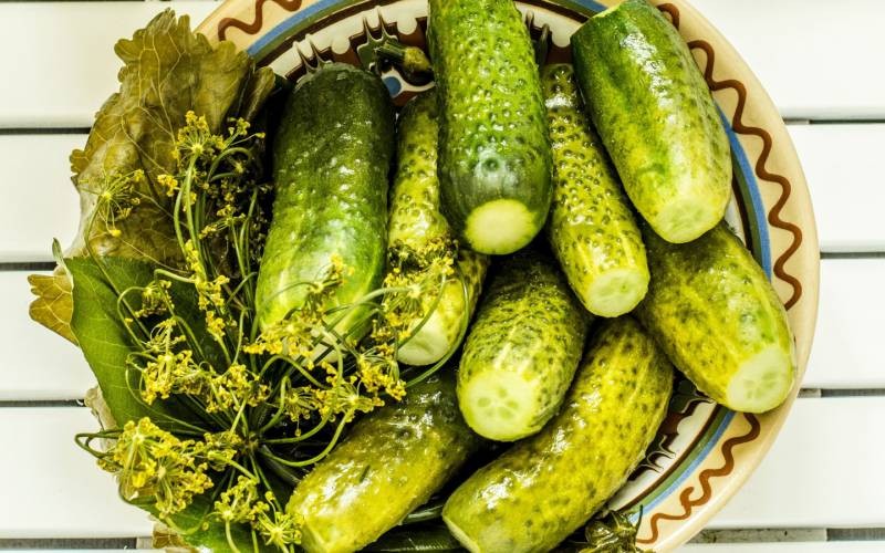 Консервировать горькие огурцы можно, — эксперты