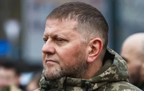 Стало известно, что Залужному приказали заключить фиктивное перемирие с Путиным